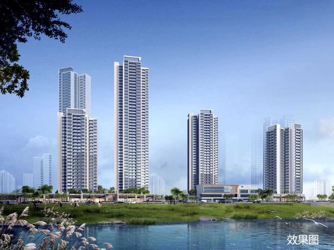 效果图