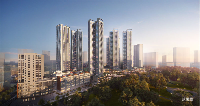 效果图